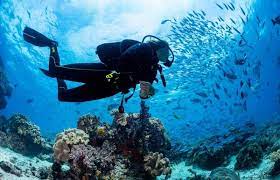 Subscribe to help me pick up more trash: 8 Special Types Of Diving Every Diver Should Know About