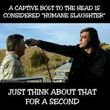 If It S So Humane Would You Allow It Done To Your Dog Of Course Not Because That Would Be Cruel Think For Yourself Vegan Animals Human Why Vegan