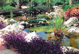 Contact delectables fine catering, inc. Heritage House And Botanical Gardens In Largo Fl Vacationmaybe