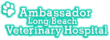 Blue cross pet hospital's veterinary staff is made up of animal lovers who are experts at what they do. Veterinarian In Long Beach Ca Ambassador Long Beach Veterinary Hospital