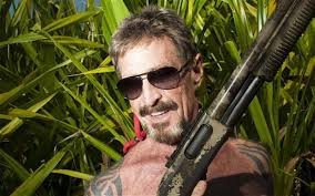 Traversing the Sixth Dimension: The Journals of John McAfee