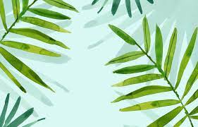 Watercolor Desktop Wallpaper Laptop Wallpaper Desktop Wallpapers Background Hijau Aesthetic