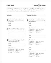 Birth Plan Template 17 Free Word Pdf Documents Download Free Premium Templates
