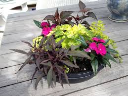 Pin By Down To Earth Living On Garden Center Flower Arrangements Flowers Spring Centerpiece