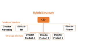 corporate structure different types of organizational