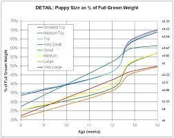 23 Interpretive Collie Puppy Growth Chart