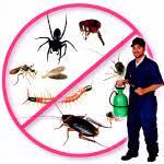 Pvt ltd 805/3, bangalawatte rd, mabole, wattala. Power Pest Control Service Wattala Sri Lanka Contact Phone Address
