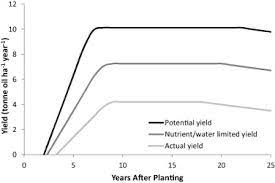 Subsequently, it was reduced to 207, and reduced much further to 100 meanings in 1955. Yield Gaps In Oil Palm A Quantitative Review Of Contributing Factors Sciencedirect