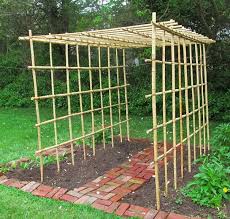 Auctiva Image Hosting Bamboo Garden Vertical Vegetable Gardens Vegetable Garden Design