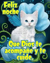 Feliz Noche Buenas Noches Gifs Animados Gifs De Buenas Noches Imagenes De Buenas Noches