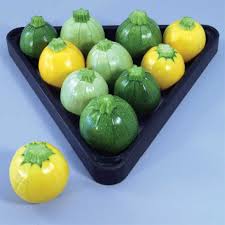 Once they are larger, they have seeds that you will have to remove before dehydrating. Pool Ball Hybrid Zucchini Squash Squash Jung Seed Company