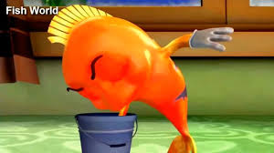 Maybe you would like to learn more about one of these? Velma Cup Cup Kartun Lucu Anak Anak Ikan Nemo Facebook