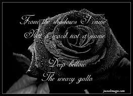 Black Rose Quotes Quotesgram Black Rose Rose Quotes Purple Flowers Wallpaper