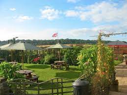 If you read a bad review for 'the fox' please check carefully which pub it refers to! The Fox North Waltham Popham Ln Updated 2021 Restaurant Reviews Menu Prices Tripadvisor