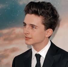 December 27, 1995 birth place: Musetta Timothee Chalamet Daily On Twitter Timothee Chalamet Chris Nolan Movies Chris Nolan
