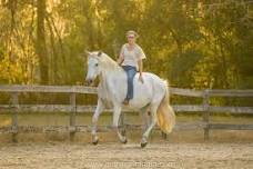 Dressage & Horsemanship Clinic with Karen Rohlf