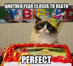 Pin By Keaton Burton On Funny Grumpy Cat Birthday Grumpy Cat Humor Grumpy Cat Meme