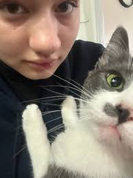 Lost, Found, Missing Pets Rochester NY and surrounding areas