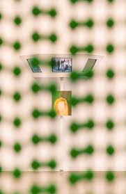 THE RENAISSANCE SOCIETY ANNUAL REPORT 2022–23