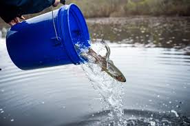 The Vineyard Gazette