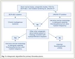 How I Work Up The Patient With Thrombocytosis The Asco Post