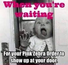 Image Result For Pink Zebra Memes Pink Zebra Zebra Pink