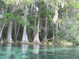 Our 2021 property listings offer a large selection of 99 vacation rentals around rainbow river. Rainbow River Dunnellon Fl Rainbow River Florida Springs Nature Inspiration