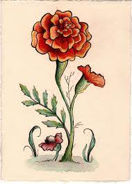 Watercolor Flower Study Marigold By Victoria Marble Marigold Tattoo Flower Drawing Images Flower Drawing