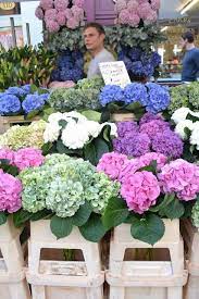 Musings From London The English Hit The Sweet Spot Of Design Top Picks At Decorex Flower Market Columbia Road Flower Market Pretty Flowers