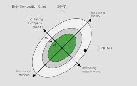 Measurement Values Seca