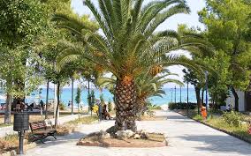 We did not find results for: Hanioti Letovanje 2021 Viva Travel