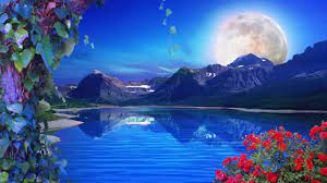 Perfect screen background display for desktop, iphone, pc, laptop. Nature Background Loop Free Background Hd 60 Fps Youtube