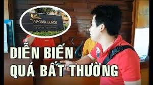 Tôi đi học nhật 2 năm và cũng hiểu được nội dung cuộc nói chuyện này. 10 Sá»± Tháº­t Trong Vá»¥ Khoa Pug Tá»' Aroma Resort Lá»«a Ä'áº£o Tuá»•i Tráº» 247