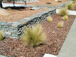 Structured evergreen garden beds with colorful planters. No Grass Front Yard Houzz