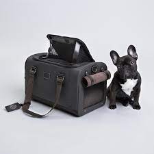kiwi the french bulldog puppy posing next to her favourite bag http cloud7 de frenchbulldogsaccessories kopek aksesuarlar kis