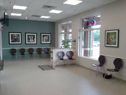 Central Veterinary Hospital Hospital Tour Veterinary Hospital Veterinary Clinic Hospital Design