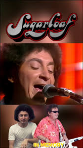 Replying to @mama.rocks.13 This Date in Rock Music History: Remembering  Jerry Corbetta born 76yrs ago