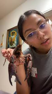 Gao's Night: A Culinary Ritual Awaits