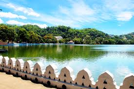 kandy lake is known as the sea of milk the lake is charming and peaceful can t miss it in sri lanka sri lanka travel green wallpaper sri lanka