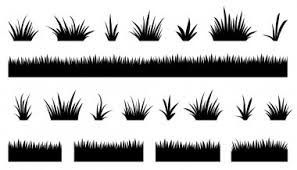 Download Sedge Free Vector Eps Cdr Ai Svg Vector Illustration Graphic Art
