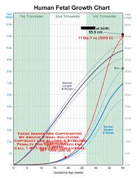 Amicus Illustration Of Amicus Medical Growth Chart Fetal