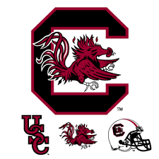 Share It And Wear It South Carolina Gamecocks Go Gamecocks Gamecocks Football
