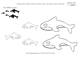 Add these free printable science worksheets and coloring pages to your homeschool day to reinforce science knowledge and to add variety and fun. Example Coloring Page Orcas Color Picture Of Orcas