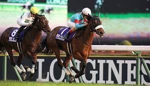 © 2020 soft on demand inc. ã‚¸ãƒ£ãƒ'ãƒ³ã‚«ãƒƒãƒ—2020äºˆæƒ³ ã‚³ãƒ³ãƒˆãƒ¬ã‚¤ãƒ« ãã—ã¦ã‚­ã‚»ã‚­ äº¬é˜ªæ¯2020äºˆæƒ³ã‚‚ ãƒ•ãƒ©ãƒ³ã‚±ãƒ«jr ã®ç«¶é¦¬äºˆæƒ³