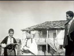 Image result for Havzi Nela