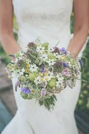 Your bouquet ornithogalum stock images are ready. Ornithogalum
