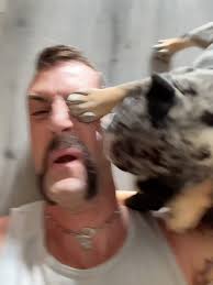 I finally got to meet these little wrinkly angels! 🥹 thank you  @theblackenglishbulldog for letting me lay