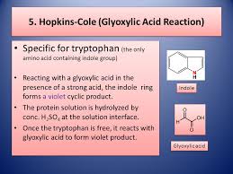 Since tryptophan was not destroyed. Qualitative Tests For Amino Acids Iug 2013 Dr Tarek M Zaida Ppt Video Online Download