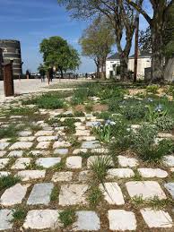 Phytolab Et L Atelier Grether Sont Recompenses Par La Mention Amenagement Au Prix Departemental Du Caue49 P Architecte Paysagiste Paysagiste Jardinage Urbain