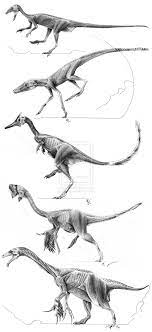 Archosaur Muscle Studies By Qilong On Deviantart Dinosaur Art Prehistoric Animals Prehistoric Creatures